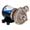 JABSCO Low pressure cyclone centrifugal pump 12v