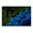 LOWRANCE  Topo Insight HD, Northeast, v14