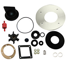 RARITAN Crown head cd series repair kit