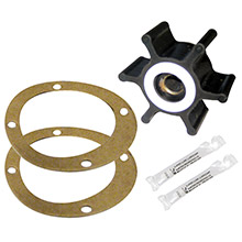 RARITAN G13 impeller w and teflon washers pump gaskets