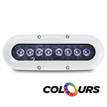 OCEANLED X%2Dseries x8 %2D colours leds