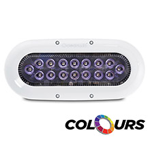 OCEANLED x%2Dseries x16 %2D colours leds