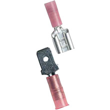 ANCOR Dsc Female 16%2D14