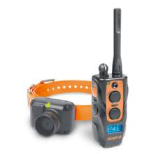 DOGTRA 2700TandB Training and Beeper Collar