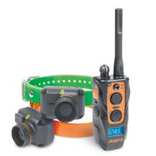 DOGTRA 2702TandB Training and Beeper Collar
