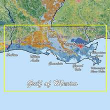 GARMIN Louisiana One Standard Mapping Professional