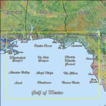 GARMIN Gulf Coast Standard Mapping Premium