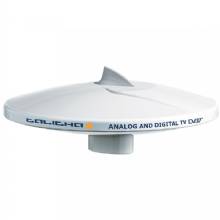 GLOMEX 10 inch TV Antenna Only