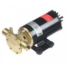 JOHNSON PUMP Rogue Ballast Pump %2D 135 GPM %2D 12V