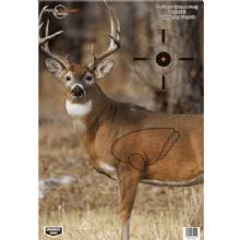 BIRCHWOOD CASEY B and C PREGAME DEER TGT 3%2D165X24