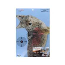 BIRCHWOOD CASEY B and C PREGAME COYOTE TGT 3%2D165X24
