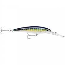 RAPALA X%2DRap Magnum 20 Sailfish UV