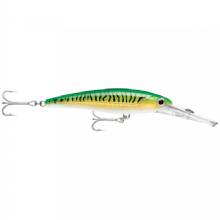 RAPALA X%2DRap Magnum Gold Green Mackerel
