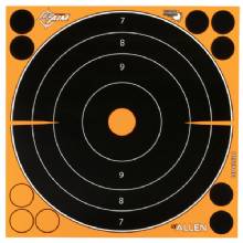 ALLEN EZ AIM 8 inX8 in BULLSEYE 30PK
