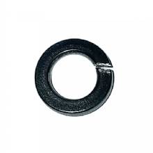 MAXWELL Washer Spring %2D 6mm %2D 304 Stainless Steel