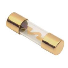 RAPTOR AGU 80AMP and 5PK GOLD FUSES