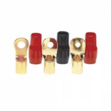 RAPTOR RING TERM 8GA 5 and 16 in GOLD RED and BL 20PK