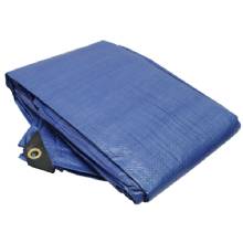 ROADPRO TARP 10ftX 12 ft BLUE
