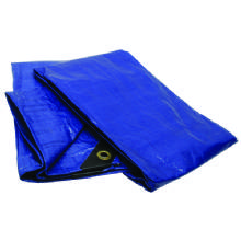 ROADPRO TARP 6ftX 8 ft BLUE