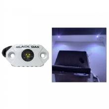 BLACK OAK LED Rock Accent Light %2D White %2D White Housing