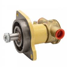 JOHNSON PUMP F5B%2D9 Impeller Pump OEM %2D Flange Mount