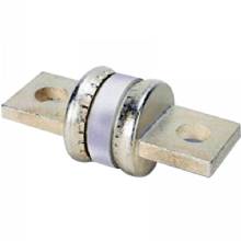 MAGNUM 300 amp fuse class t