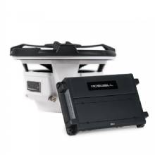 ROSWELL RMA 10 in Subwoofer Package %2D Black