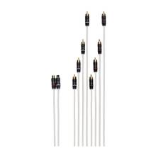 FUSION RCA SAplitter Cable 2 Female RCAfts to 8 Male RCAfts