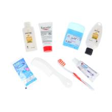 CONVENIENCE KITS 10 pc Womens Pantene Travel Kit
