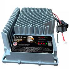 DUAL PRO Eagle Peformance ES800 36v Battery Charger 1 Bank 22 Amps