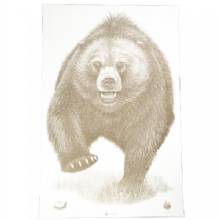 ACTION TARGETS AK STATE PARK BEAR 100PK