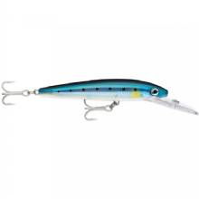 RAPALA Husky Magnum 25 %2D 6%2D1 and 4 in %2D Blue Sardine