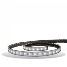LUMISHORE Lumishore Eclipse SL100 5m White Strip Light 12 and 24vDC
