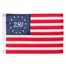 TAYLOR MADE Taylor Made 12in x 18in 250 Years of Freedom American Flag