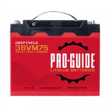 PRO%2DGUIDE Alpha Series Lithium Battery %2D 36V %2D 75AH %2D Group 31 Tall
